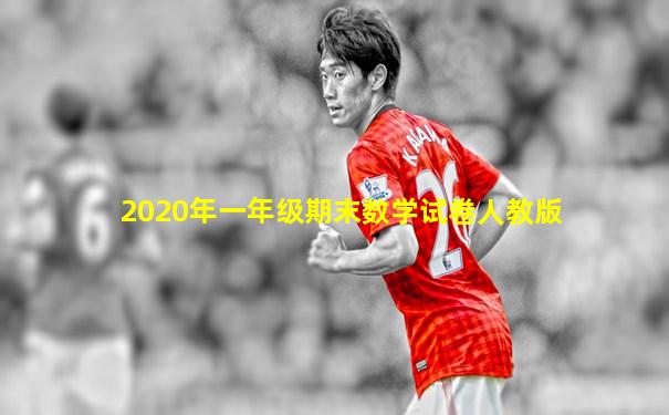 2020年一年级期末数学试卷人教版