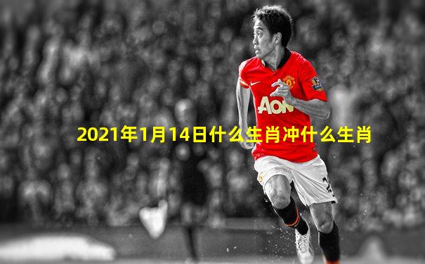 2021年1月14日什么生肖冲什么生肖
