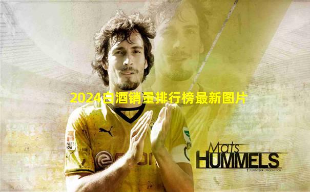 2024白酒销量排行榜最新图片