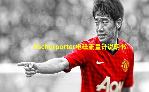 fischerporter电磁流量计说明书