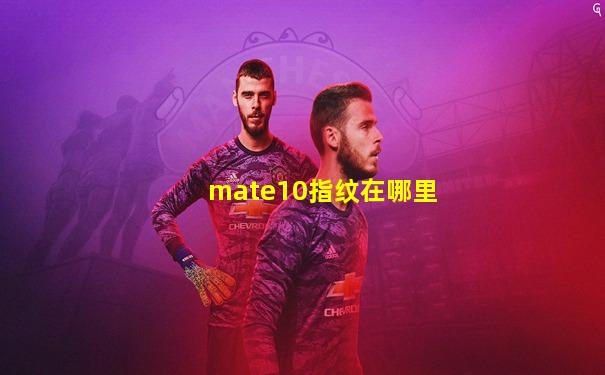 mate10指纹在哪里