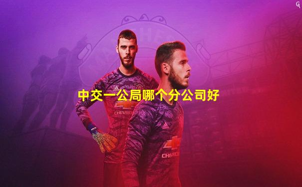 中交一公局哪个分公司好