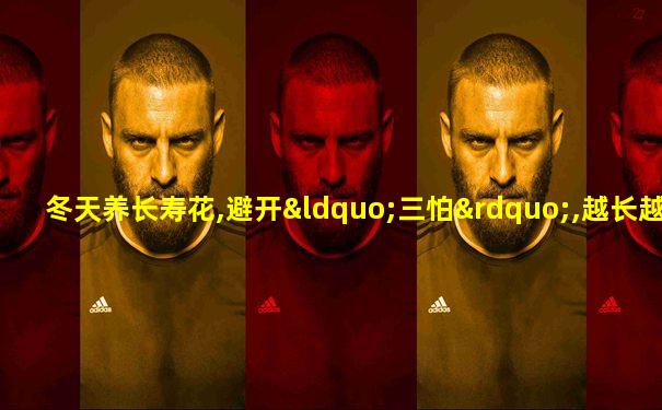 冬天养长寿花,避开“三怕”,越长越旺盛,开花就越多