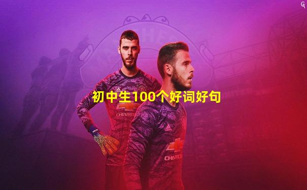 初中生100个好词好句