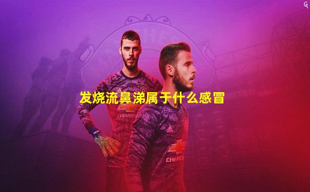 发烧流鼻涕属于什么感冒