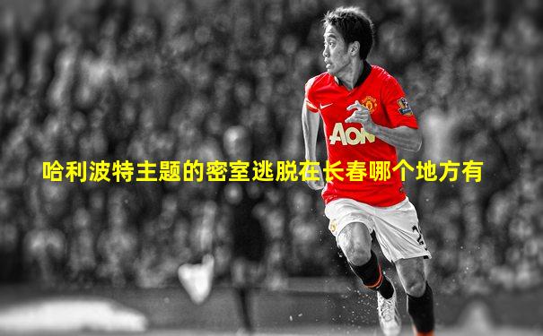 哈利波特主题的密室逃脱在长春哪个地方有
