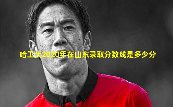 哈工大2020年在山东录取分数线是多少分