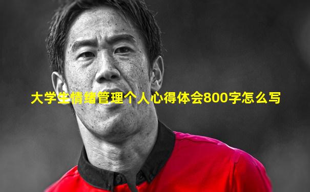 大学生情绪管理个人心得体会800字怎么写