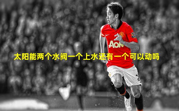 太阳能两个水阀一个上水还有一个可以动吗
