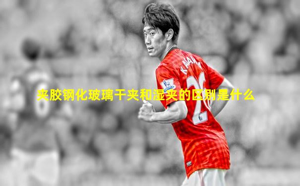 夹胶钢化玻璃干夹和湿夹的区别是什么