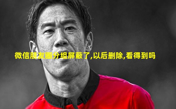 微信朋友圈分组屏蔽了,以后删除,看得到吗