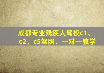 成都专业残疾人驾校c1、c2、c5驾照、一对一教学