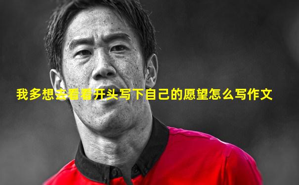 我多想去看看开头写下自己的愿望怎么写作文