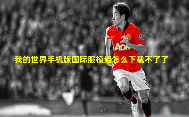 我的世界手机版国际服模组怎么下载不了了