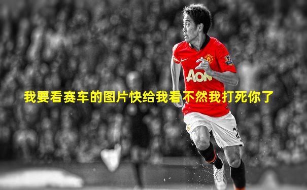 我要看赛车的图片快给我看不然我打死你了