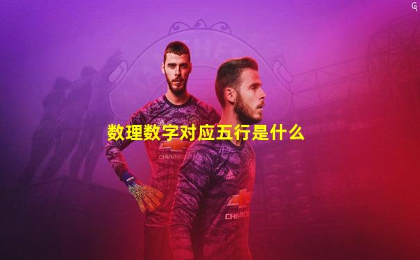 数理数字对应五行是什么