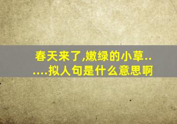 春天来了,嫩绿的小草......拟人句是什么意思啊
