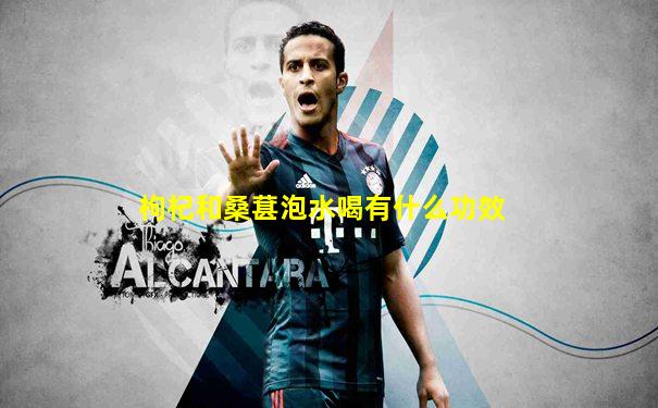 枸杞和桑葚泡水喝有什么功效