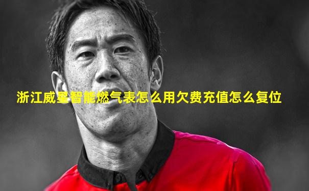 浙江威星智能燃气表怎么用欠费充值怎么复位