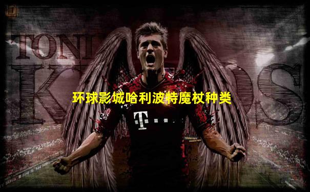 环球影城哈利波特魔杖种类
