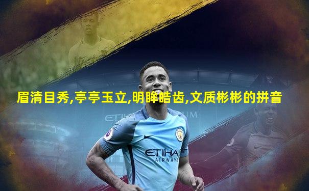 眉清目秀,亭亭玉立,明眸皓齿,文质彬彬的拼音
