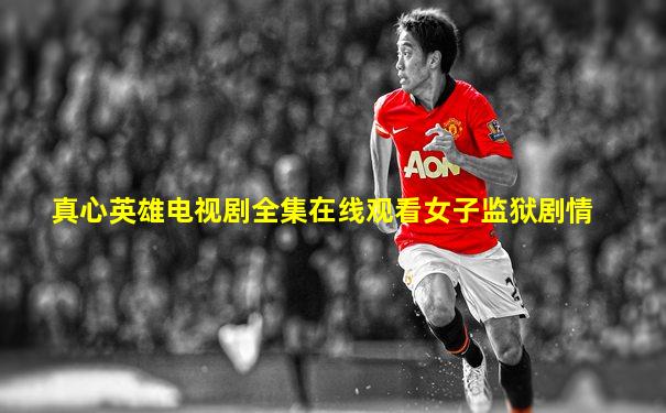 真心英雄电视剧全集在线观看女子监狱剧情