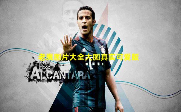 老鹰图片大全大图真实可爱版