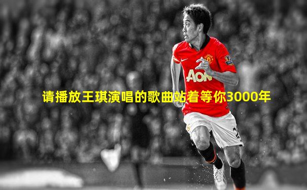 请播放王琪演唱的歌曲站着等你3000年