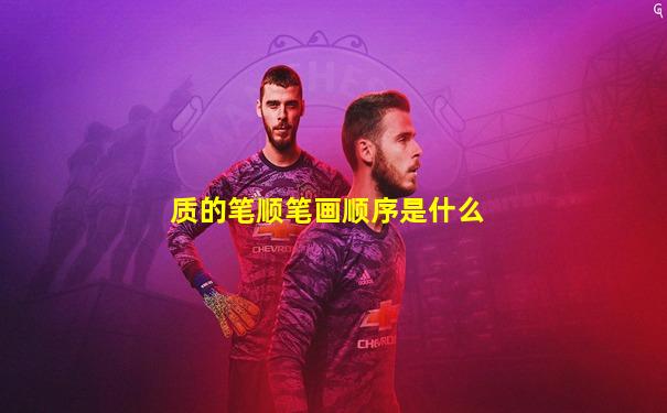 质的笔顺笔画顺序是什么