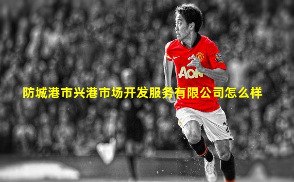 防城港市兴港市场开发服务有限公司怎么样