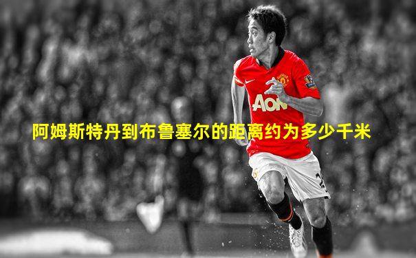 阿姆斯特丹到布鲁塞尔的距离约为多少千米