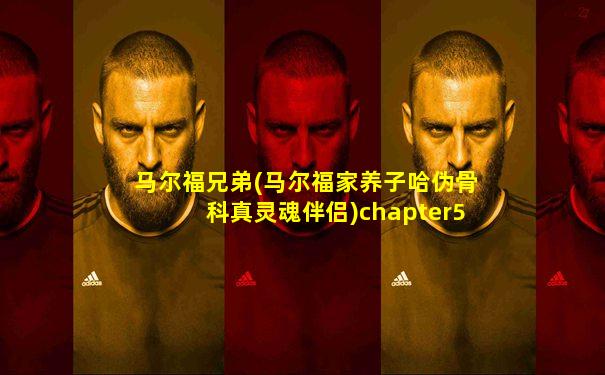 马尔福兄弟(马尔福家养子哈伪骨科真灵魂伴侣)chapter5