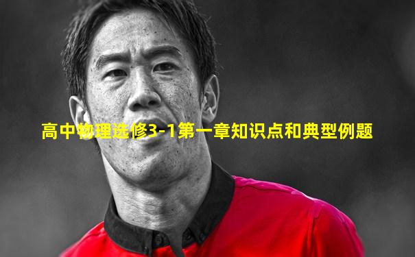 高中物理选修3-1第一章知识点和典型例题