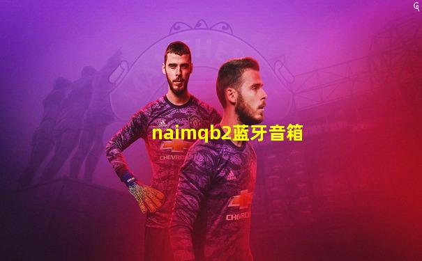 naimqb2蓝牙音箱