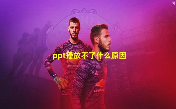 ppt播放不了什么原因