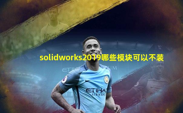 solidworks2019哪些模块可以不装