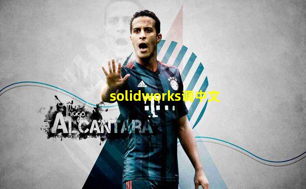 solidworks调中文