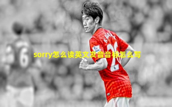 sorry怎么读英文发音音标怎么写