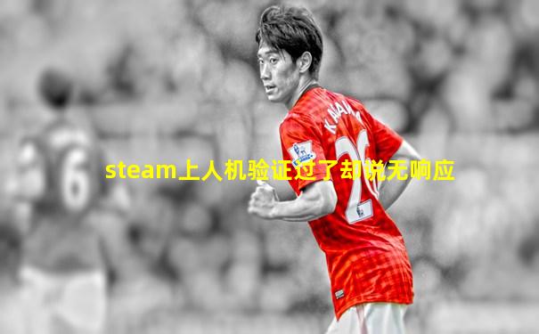 steam上人机验证过了却说无响应