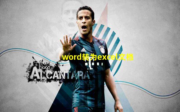 word转为excel文档