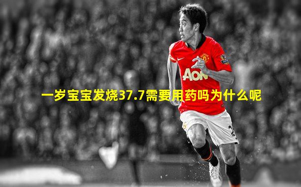 一岁宝宝发烧37.7需要用药吗为什么呢
