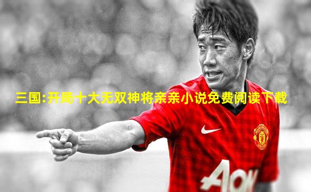 三国:开局十大无双神将亲亲小说免费阅读下载
