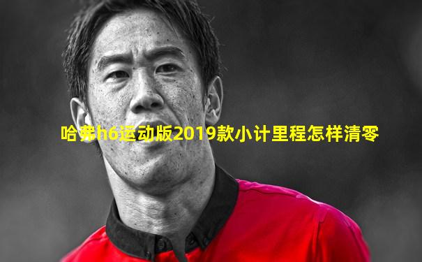 哈弗h6运动版2019款小计里程怎样清零