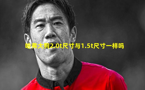 哈弗大狗2.0t尺寸与1.5t尺寸一样吗