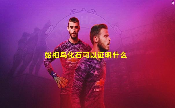 始祖鸟化石可以证明什么