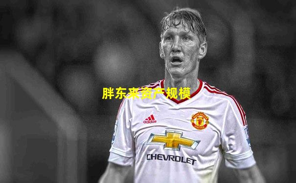 胖东来资产规模