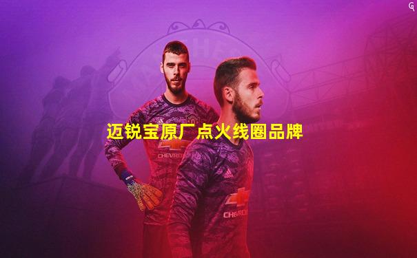 迈锐宝原厂点火线圈品牌
