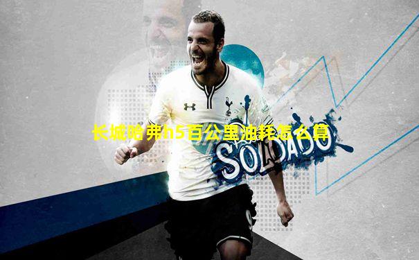 长城哈弗h5百公里油耗怎么算